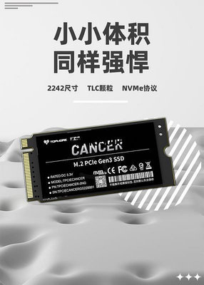 TOPMORE達墨巨蟹座 2242 PCIE3.0 1TB NVMe M2 筆電桌機硬碟