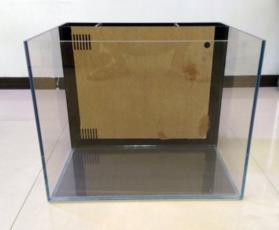 *海葵達人* 台製精品~1.5尺超白玻璃背濾缸(45*35*36cm)玻璃厚度6mm