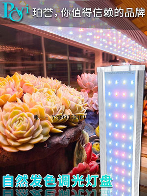 補光燈珀譽多肉補光燈 家用全光譜自然上色led模擬太陽光室內植物生長燈打光燈