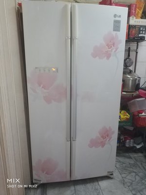 LG 雙門對開冰箱 GR-BL84M