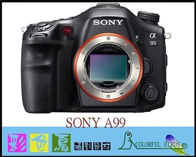 彩色鳥(相機出租、出租鏡頭、鏡頭出租 ) 租 SONY A99 + Sigma 85mm F1.4 EX DG HSM