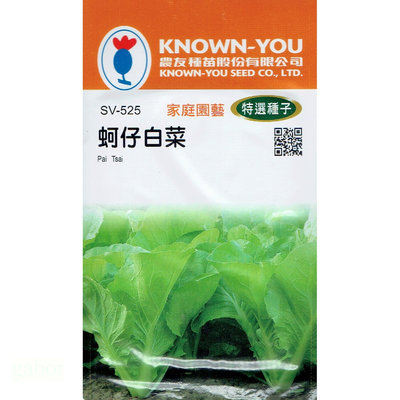 種子王國 蚵仔白菜(Pai Tsai) sv-525 每包約2公克 全年可播種 農友種苗特選種子