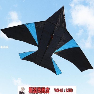 阿吉賣場-恒江風箏濰坊風箏大戰斗機風箏飛機風箏2.6米 易飛~快速出貨