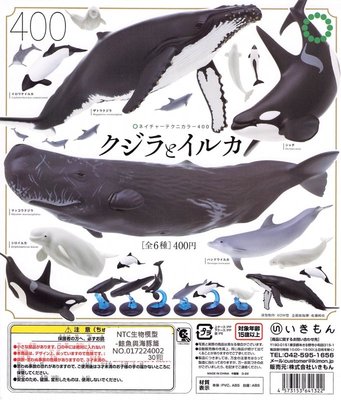【扭蛋屋】NTC生物模型-鯨魚與海豚篇《全6款》+ 機台紙《全4款》