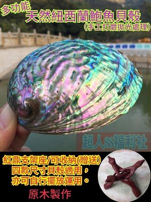 天然紐西蘭鮑魚貝殼(11-12CM) +紅鼎支架座 貝殼擺飾 貝殼擺件 深海貝殼 容器 餐具 碟子 貝殼製品 貝殼裝飾品 器皿 收藏 薰香