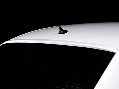 【瓦仕實業】德國 RIEGER - TUNING 奧迪 AUDI A4 B8 後擋風玻璃上擾流翼