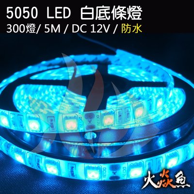 火焱魚 LED 5050 300燈 DC 12V 5米 白底 冰藍 防水 燈卷 滴膠 裝潢 間接照明 條燈