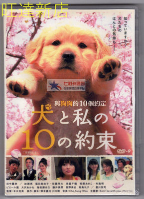 新旺達百貨 與狗狗的十個約定 緯來電影台國語+日語雙語配音 DVD盒裝 DVD
