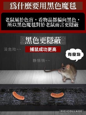 台灣現貨120＊28cm 強力粘鼠毯 捕鼠貼 黏鼠毯 黑底黏鼠毯 超黏黏鼠板 粘鼠板 捕鼠器 黏鼠膠