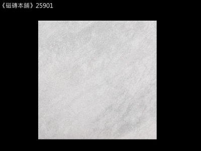 《磁磚本舖》數位噴墨 25901 25x25公分 灰白色止滑石英磚 多模面 廁所 陽台 騎樓 地磚 台灣製