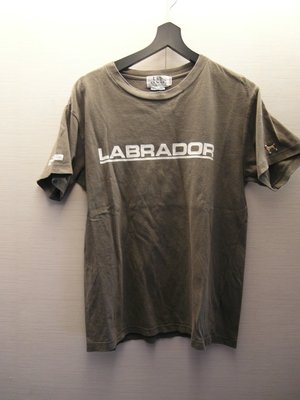 日本 Labrador Retriever 女子灰色短袖T恤