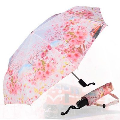 櫻花自動三折傘 雨傘 阿里山傘 防暴衝傘