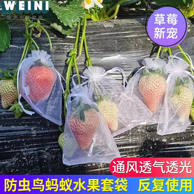 草莓套袋水果套袋果實網袋透氣番茄石榴藍葡萄無花果防蟲防鳥套袋-維尼創意家居