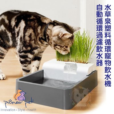 x貓狗衛星x【犬貓用】Pioneer Pet 水草泉塑料循環寵物飲水機/自動循環過濾飲水器 60oz