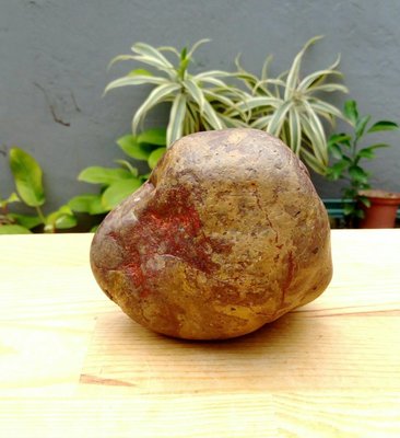 老珍藏天然台灣本土鮮紅血絲紋心臟石原礦~重約1259公克~天然滿滿的血絲紋超漂亮~值得收藏