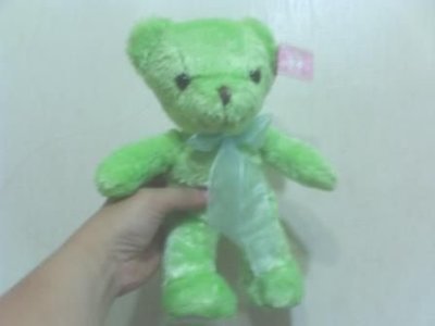 全新可愛綠色熊(高約25公分)