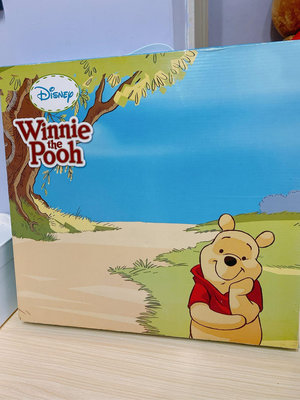 快速出貨🚚全新正版小熊維尼Winnie the Pooh ～法蘭絨雙刷毛毯/被子/小棉被