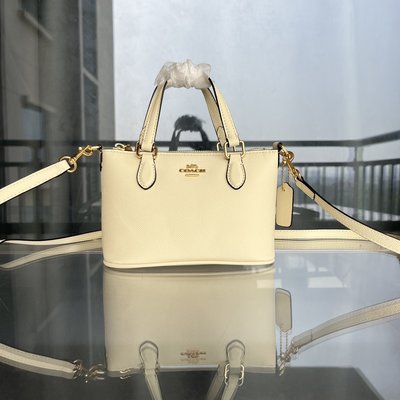 【小怡代購】 全新 COACH CH198 美國正品代購新款女士手提包 斜挎包 超低直購