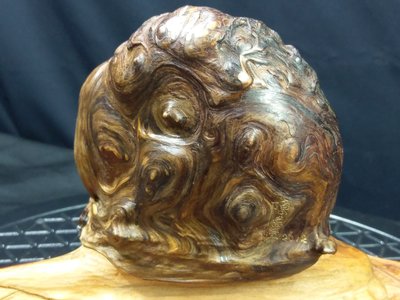 天雕蝸牛  台灣紅檜瘤  重油香紋路美麗  樹瘤淨重約658g   雕刻名家陳德隆落款  不附底座