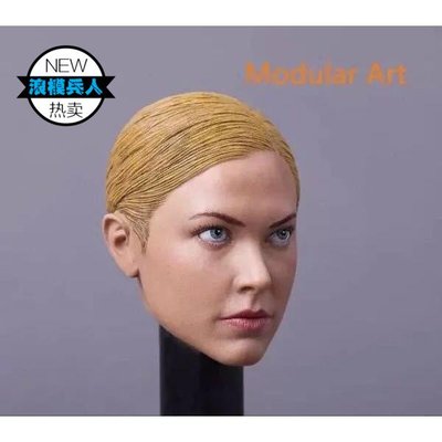 收藏模型 兵人 非Modular Art MA013 1/6 第三方 美女頭雕 女終結者