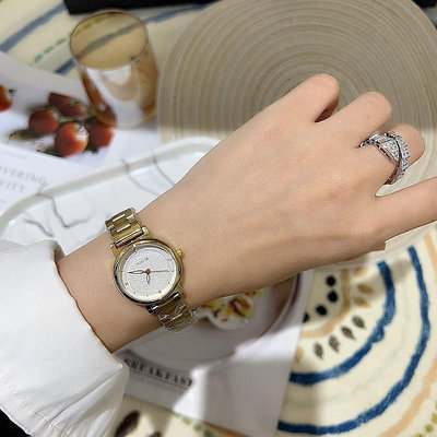 熱銷 詩高迪簡約大方圓形ins風時尚手錶腕錶女氣質鋼帶女款女士輕奢腕錶220 WG047