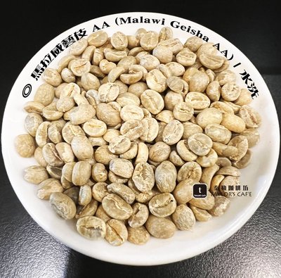【TDTC 咖啡館】精選單品咖啡豆 –馬拉威藝伎 AA (Malawi Geisha AA) / 水洗 (半磅)