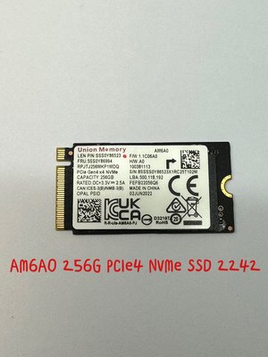【Union Memory AM6A0 256G 256GB GEN4】PCIe4 NVMe SSD 2242