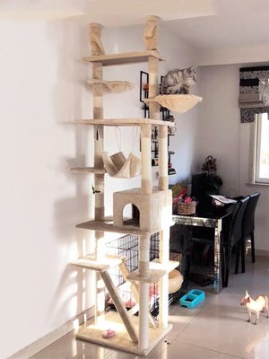 貓爬架通天柱大型立式趴架頂天立地貓架子多功能貓架貓窩貓樹一體