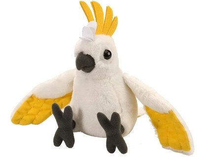 歐洲進口 限量品 好品質 可愛玄鳳鸚鵡絨毛絨娃娃小鳥布偶毛絨旅行玩偶收藏品擺飾禮物