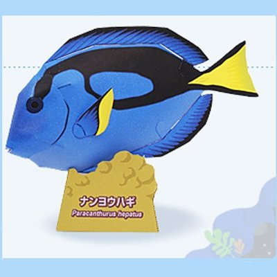 兒童益智手工制作仿真海洋生物藍吊魚立體3D紙質模型紙藝玩具~~特價