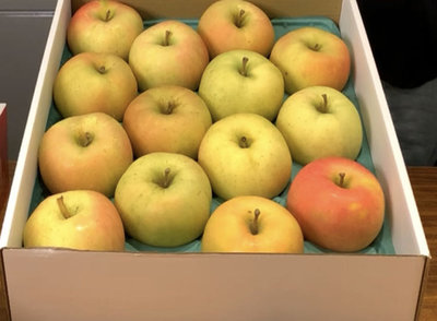 日本TOKI頂級水蜜桃蘋果愛瑪仕等級的28顆加大版14顆出5.5kg出