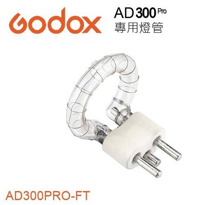 【EC數位】Godox 神牛 AD300pro 閃光攝影燈 AD300PRO-FT 原廠 外拍燈
