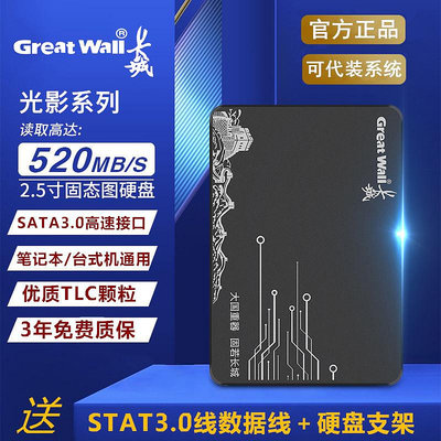 長城256G固硬碟512G桌機機筆電1TB正品SSD批發120G固態SATA3.0