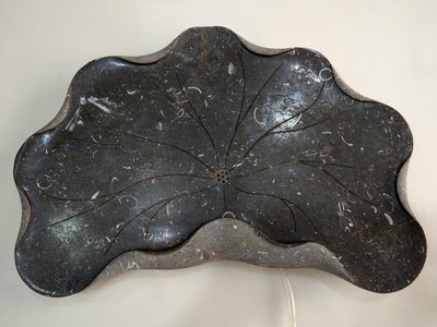 貝殼化石茶盤