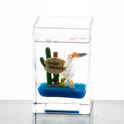 【熱賣精選】魚缸 方形玻璃魚缸創意迷你小金魚缸斗魚缸辦公室桌面生態魚缸藻球缸 玻璃魚缸