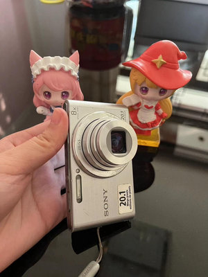 [相機]索尼/Sony DSC-W830 超級出片冷白皮CC