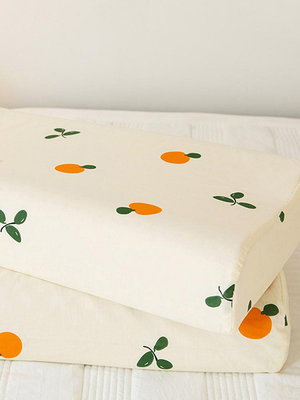 A類乳膠枕套乳膠枕枕頭套30x50cm單個純棉全棉家用40cmx60cm