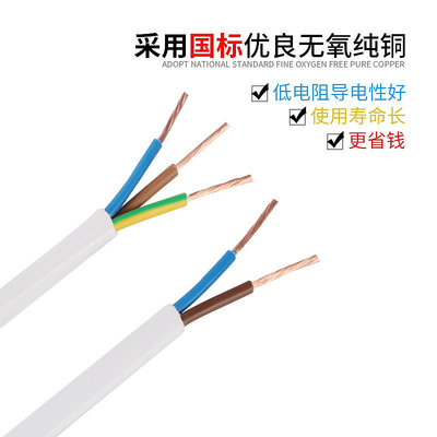 電源線珠江電線電纜國標RVV2 3 4芯0.75/1.5/2.5平方純銅白色電源護套線