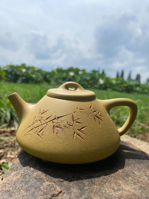 宜興紫砂段泥子冶石瓢壺半手工小品手工刻繪可養茶道零配