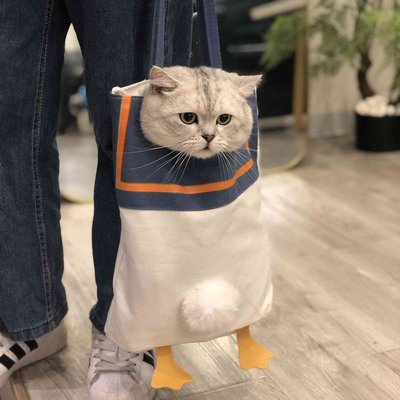 寵魔方貓包貓咪外出便攜包出門攜帶背包手提貓袋寵物斜挎雙肩通用~特價