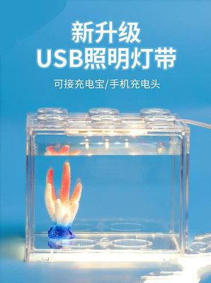 大號暖黃色積木鬥魚缸專用USB小型魚缸LED燈帶照明燈微景觀藻缸投射燈【全新現貨】
