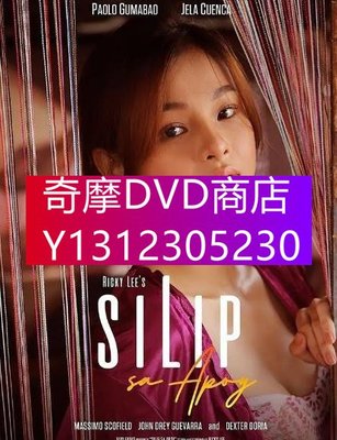 DVD專賣 2022年 電影 玩火/Silip sa apoy