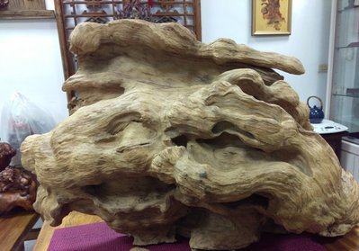 順福堂 台灣黃檜檜木瘤自然形擺件 約21Kg檜木鳳尾瘤(難得的珍品)