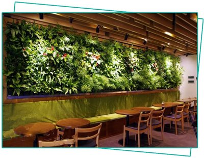 室內設計裝潢植物牆設計植生牆人造植物牆塑膠植物牆花牆人造草皮尤加利七里香櫥窗天花板壁飾牆面佈置綠化設計