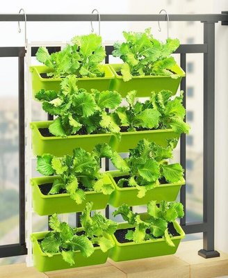現貨：陽臺 種菜盆 種菜架子 多層掛欄桿壁掛蔬菜種草莓垂直綠化立體種植花盆