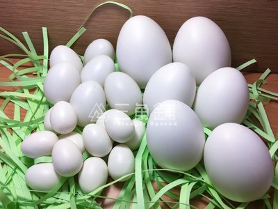 塑膠中空蛋◎白雞蛋◎模型蛋◎假雞蛋◎雞蛋批發◎復活節DIY彩蛋 《白色雞蛋綜合包共24個》