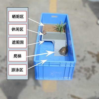 特價烏龜盲箱烏龜箱帶曬臺魚缸開放式養龜專用塑料箱烏龜大型飼養箱