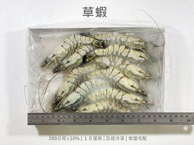 【魚仔海鮮】草蝦(10尾) 280g±10% 草蝦10p 草蝦10尾 馬來西亞 草蝦 10尾草蝦 海鮮 冷凍食品 辦桌