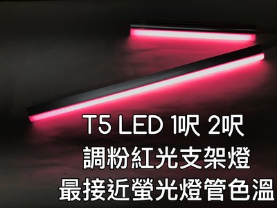 【築光坊】【台灣製】T5led 調色紅光 red 2尺支架燈 神明燈 佛桌 一體 代替t513w 植物生長燈 兩尺 二尺
