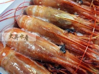 【大昇水產】行家首選加拿大產船內急凍生食牡丹蝦(JUMBO)